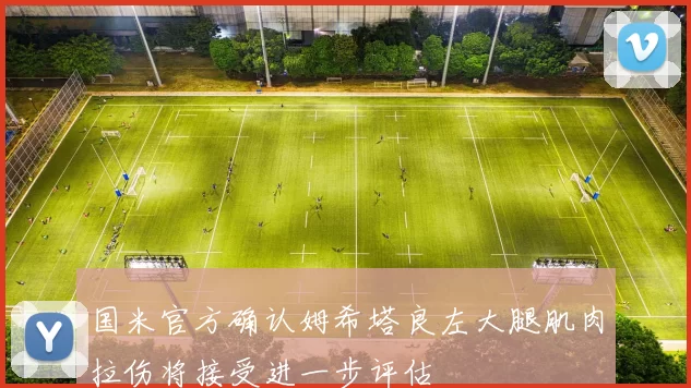 国米官方确认姆希塔良左大腿肌肉拉伤将接受进一步评估